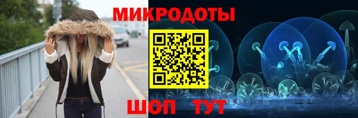 Псилоцибиновые грибы Psilocybine cubensis Астрахань